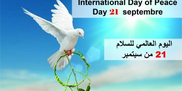 مركز المعلومات يطالب المجتمع الدولي بالعمل جديا لإحلال السلام في اليمن