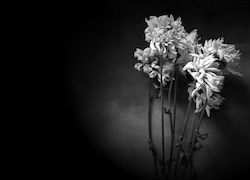 Sincere condolences and sympathy to Ziad Khaled