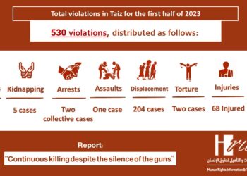 Infographic monitoring violations in the first half of 2023