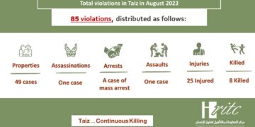 Infographic monitored for August 2023